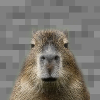 Capybara