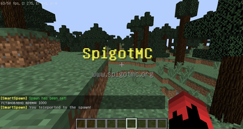Customization #1