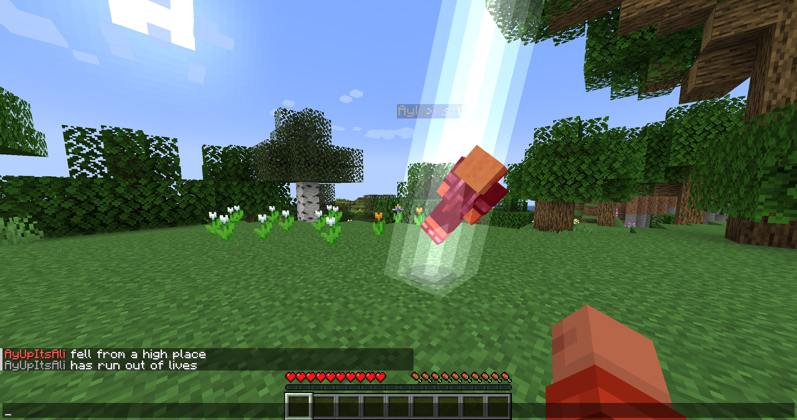 A player losing their last life