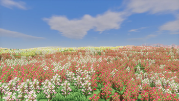 Chinese Rose Fields
