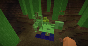 neonjungle wood sets