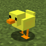 ducky