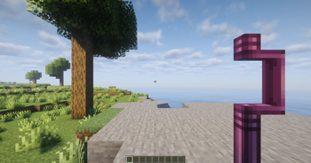 First Person View