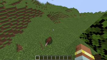 Rat in Wild