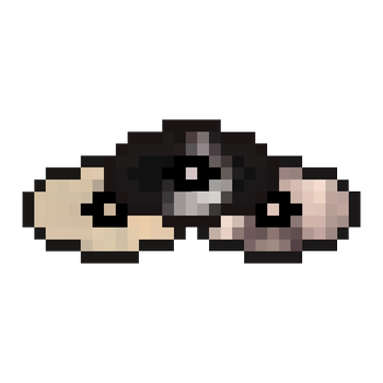 Disc Designs