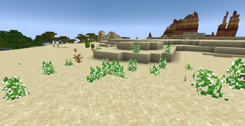Saltspud in the desert