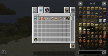 Items