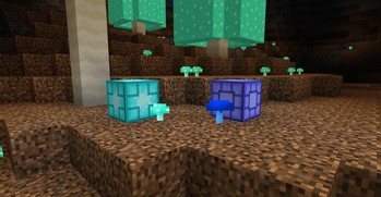 Paper lanterns