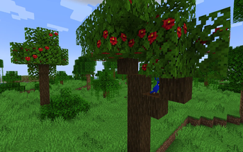 Hibiscus Tree in a Sparse Jungle
