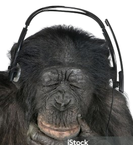 Ape Mod
