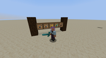 Display of Longswords