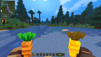 Carrot & Golden Carrot