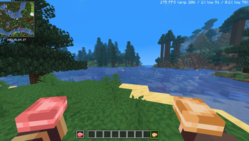 Raw Porkchop & Cooked Porkchop