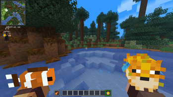 Tropical Fish & Pufferfish