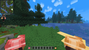 Raw Porkchop & Cooked Porkchop