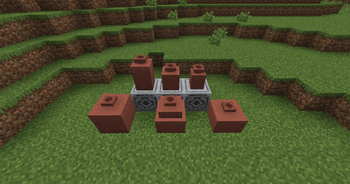 6 Pot Shapes!
