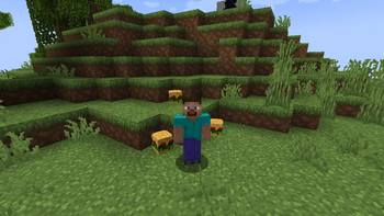 Updated Steve Skin Uneffected!