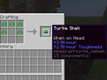 Turtle Shell Recipe
