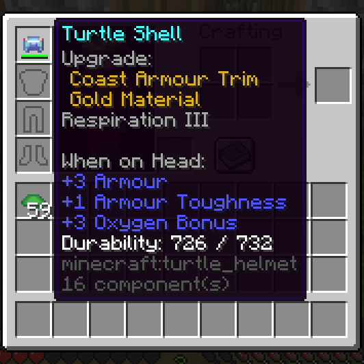 My Own Turtle Shell