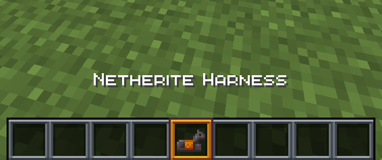 In English, it's "harness."