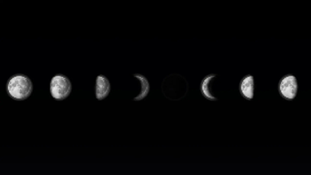 Moon Phases