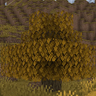 Autumn Time (Fall Time)