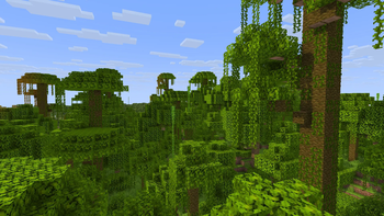 Autumn Jungle