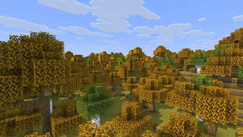 Autumn Forest