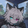 LynxSNT