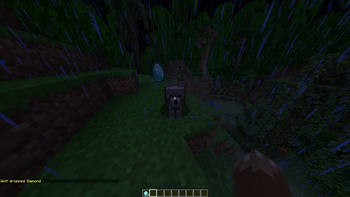 Wolf Dropping Item