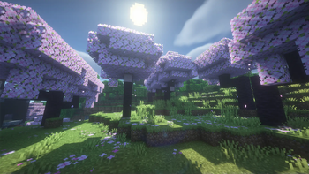 Modpack with BSL shaders enabled