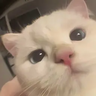 Odsu