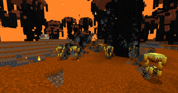 Hot Lava Biome