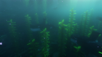 Ocean Depths