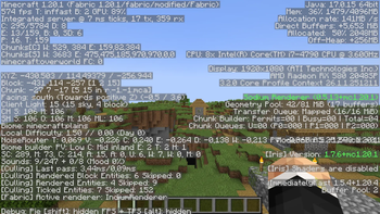 Village