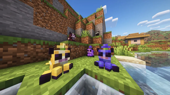 Cow Gang