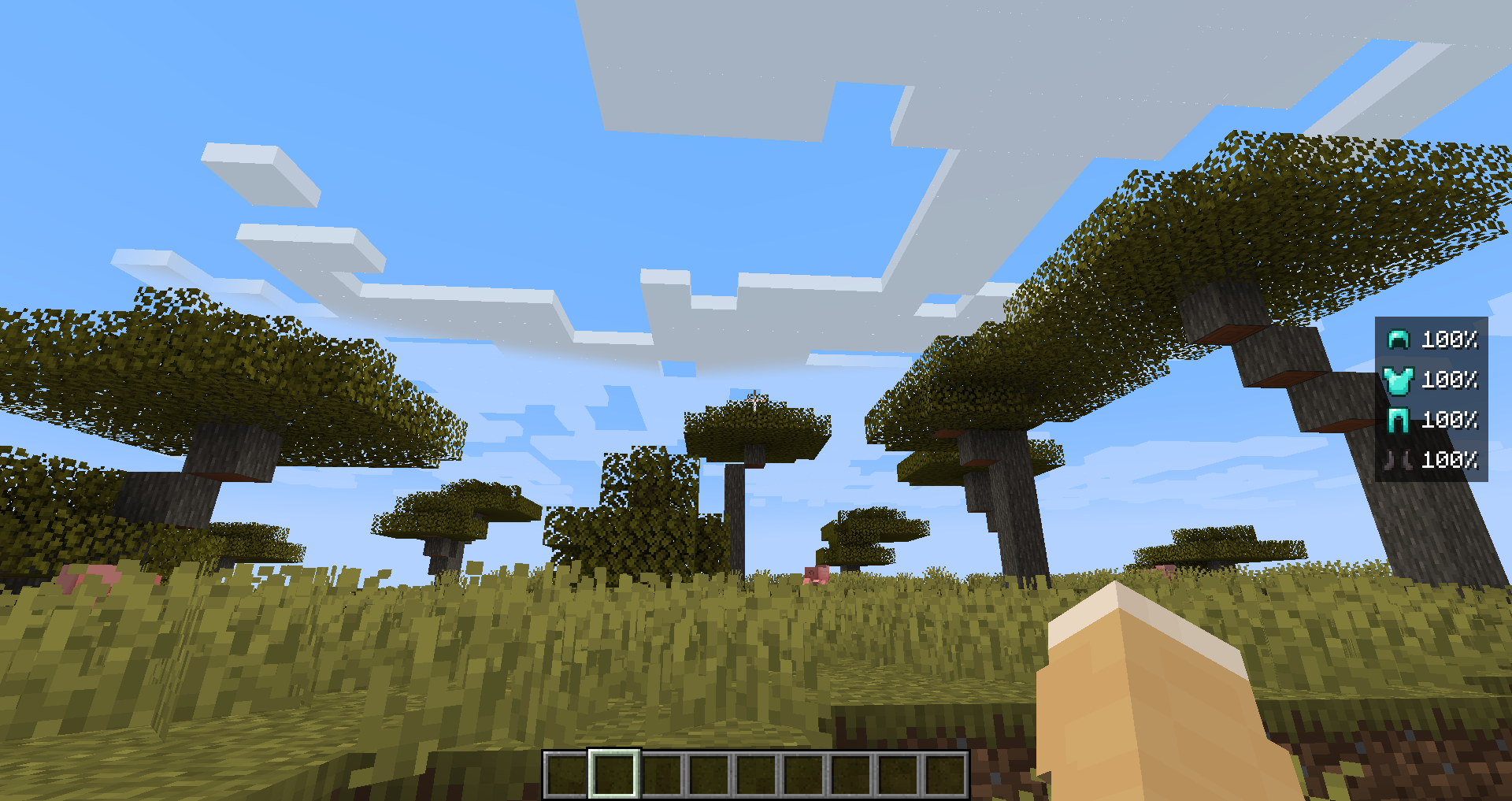 Armor HUD with default configuration