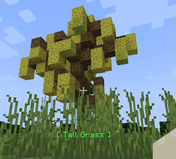 Sponge trees