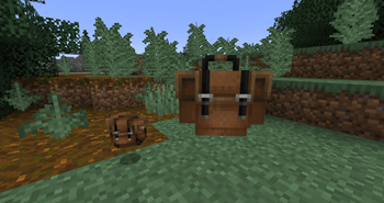 Giant backpack