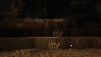 Sandy Catacombs