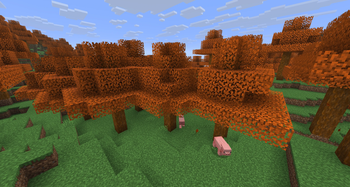 Maple Forest