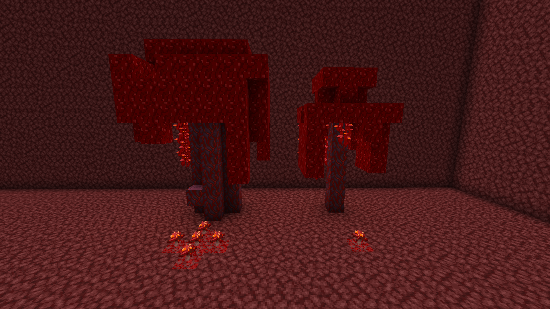 Big Crimson Fungus vs Regular Crimson Fungus