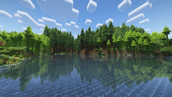 Beautiful Forest