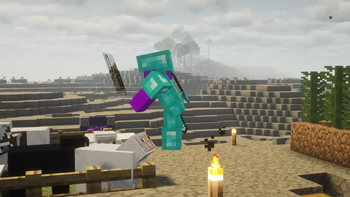 Person Showcase