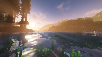 River, Sunrise, and Forest