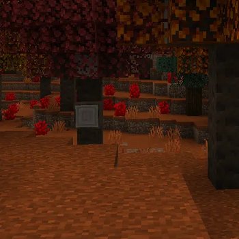 Dappled Forest Backport — screenshot 1