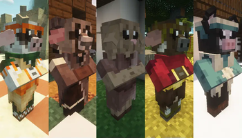 Desert, Taiga, Plains, Savanna, and Snow villager outfits