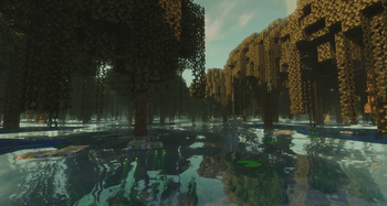 Swamp