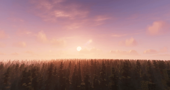 Spruce