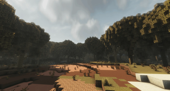 Savanna Forest